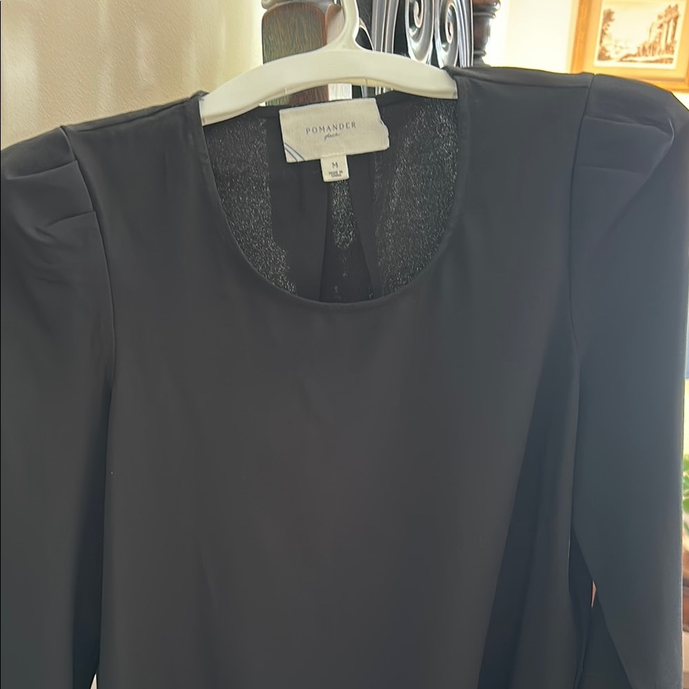 Pomander Black Long Sleeve Blouse